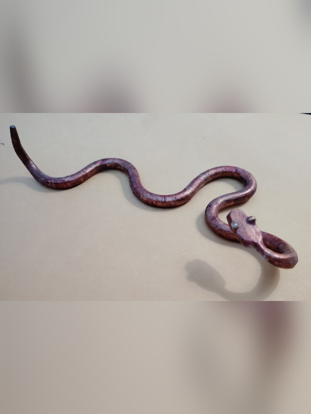 Copper Colored Snake